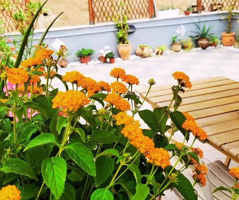 Casetta Poli- Appartamento Con Terrazza - Centro Storico Palermo Zewnętrze zdjęcie